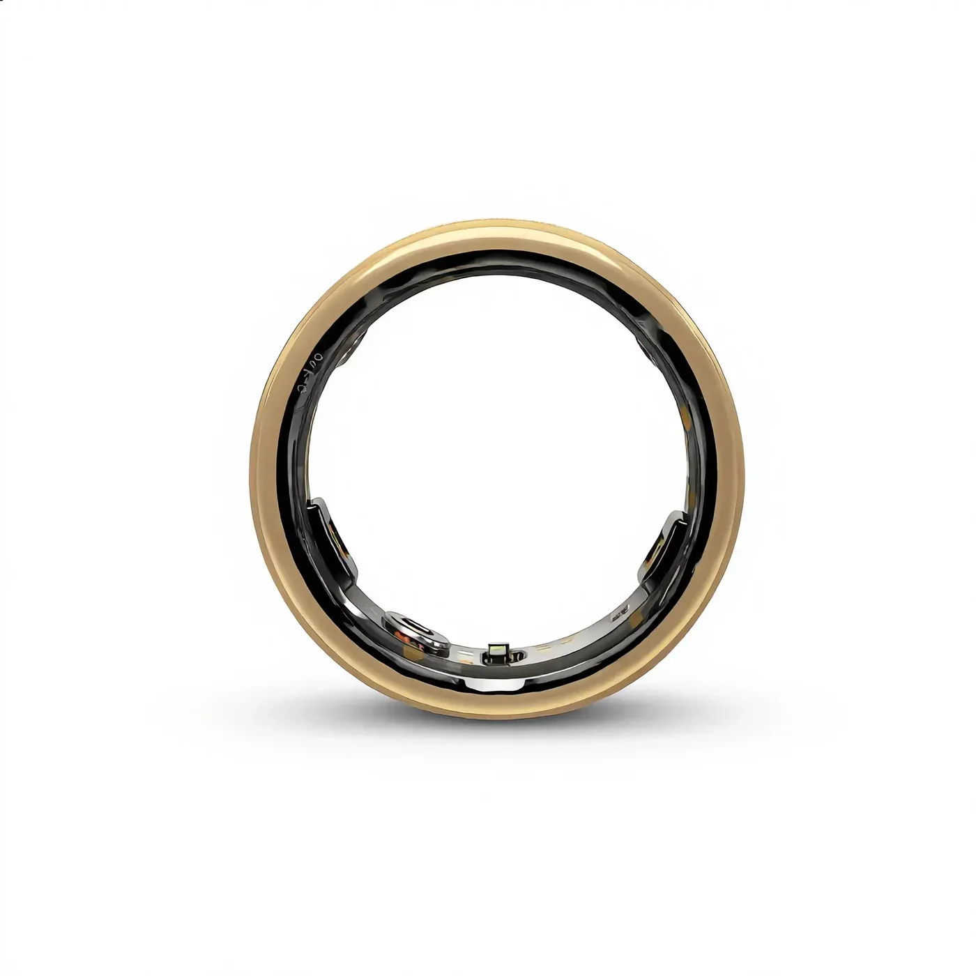 Halo Ring 3 - Image 15
